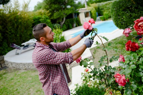 Professional gardener trimming a hedge in Neasden