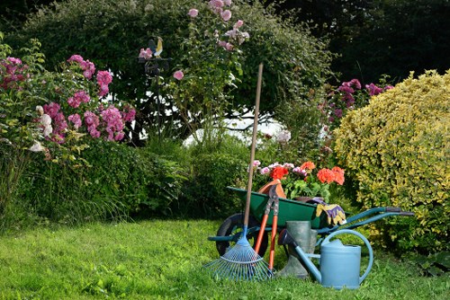 Eco-friendly tree removal practices in Neasden