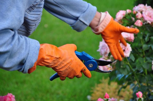 Garden tools arranged neatly in Neasden garden