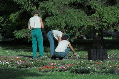 Flourishing plants and garden design