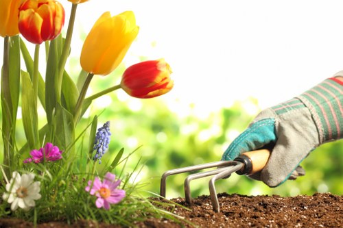 Garden clearance tools and equipment