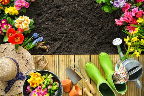 Eco-friendly lawn maintenance in Neasden