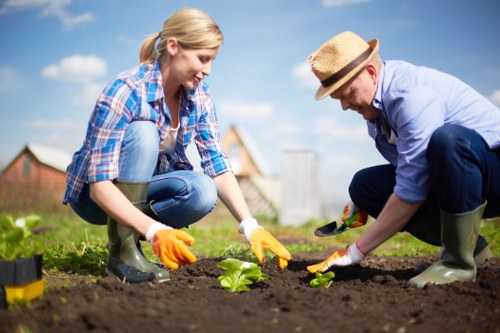 Healthy garden plants thriving in Neasden climate
